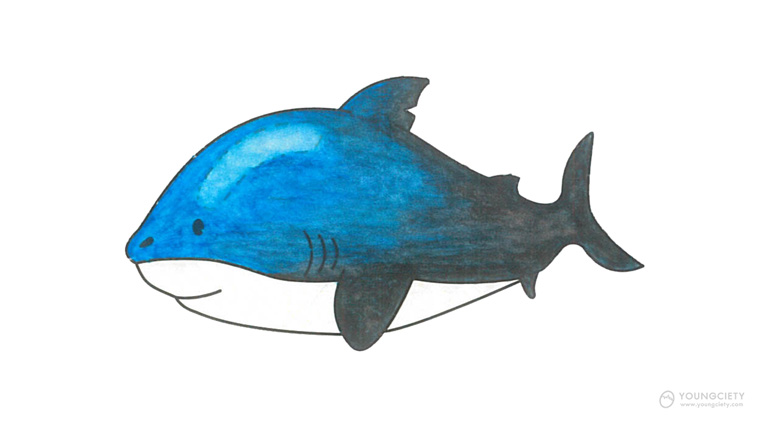 ขั้นตอนการระบายสี ฉลาม ด้วยสีไม้ระบายน้ำ