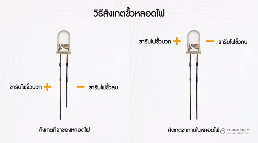 ตัวอย่างวิธีการสังเกตขั้วหลอดไฟ