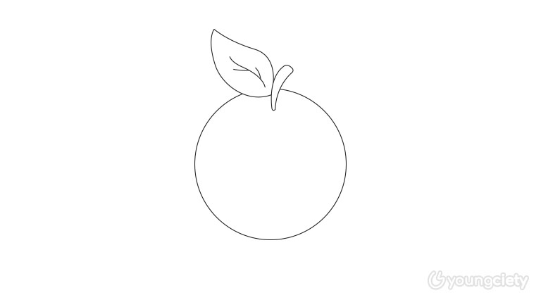 ขั้นตอนการวาดภาพ ส้ม ขั้นตอนที่ 3