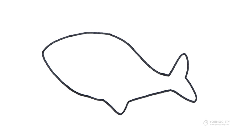 เติมเส้นโค้งในส่วนของครีบปลาฉลาม