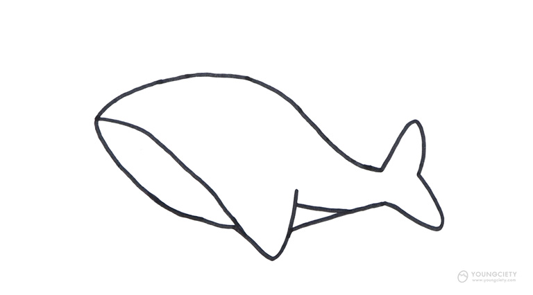 วาดเส้นโค้งเติมในส่วนหางของปลาฉลาม