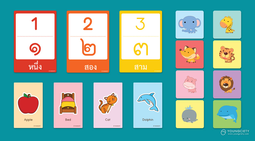 Flash Cards เด็ก