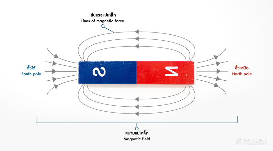 ตัวอย่างภาพแสดงสนามแม่เหล็ก