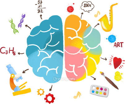 สมองซีกซ้ายเน้นเรื่องตรรกะ ภาษา และการตัดสินใจ  ส่วนสมองซีกขวาเน้นเรื่องการสร้างสรรค์ ความจำ และอารมณ์ความรู้สึก