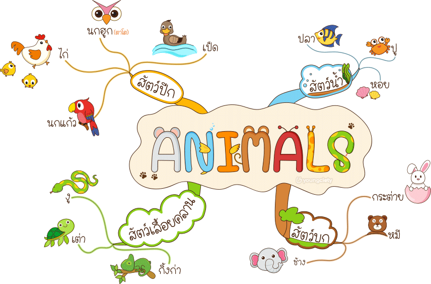 แนวทางการเขียน  Mind Map เรื่องสัตว์ต่าง ๆ โดยจำแนกสัตว์เป็น 4 ประเภทใหญ่ๆ