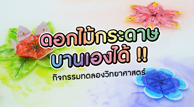 วิทยาศาสตร์แสนสนุก ดอกไม้กระดาษบานในน้ำ