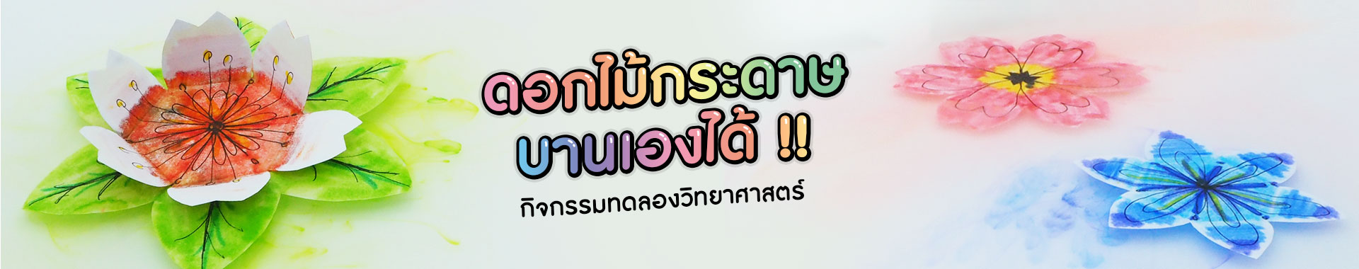 วิทยาศาสตร์แสนสนุก ดอกไม้กระดาษบานในน้ำ