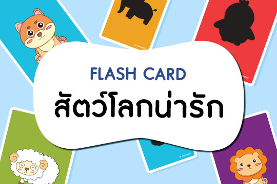  Flash Card สัตว์โลกน่ารัก พร้อมภาพเงา