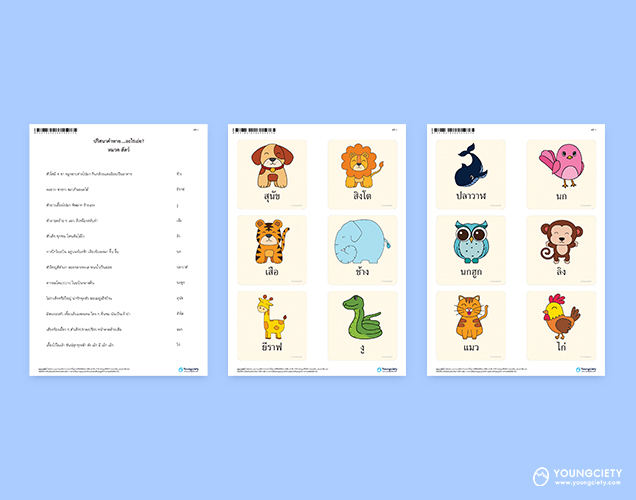ตัวอย่าง Flash card ปริศนาคำทาย ชุด สัตว์